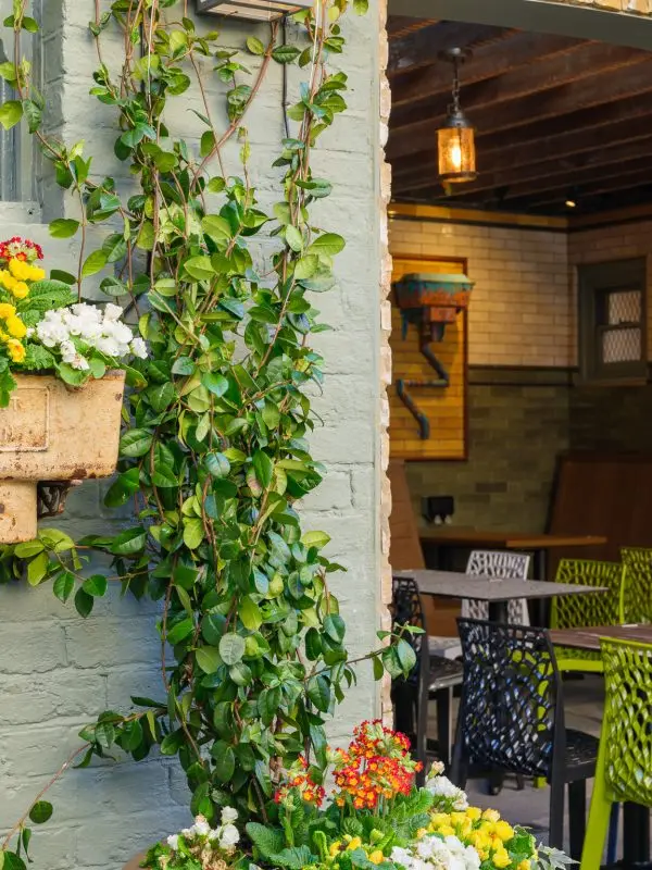garden design, adaptive reuse, converted toilets, garden design, pub design